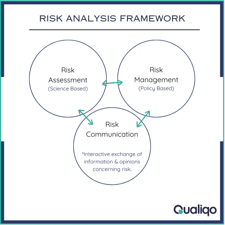 Risk Analysis Framework