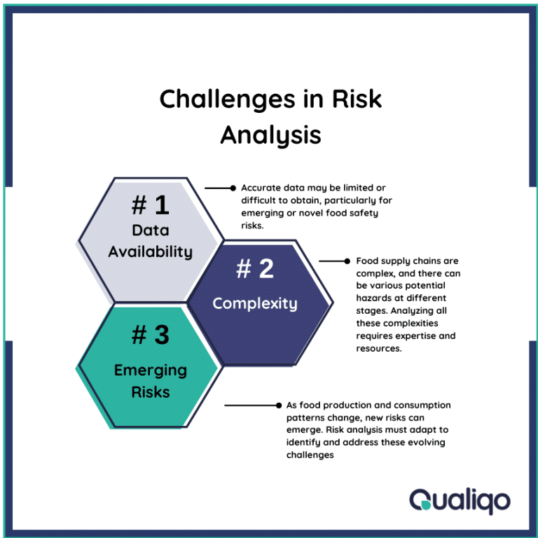 Challenges in Risk Analysis
